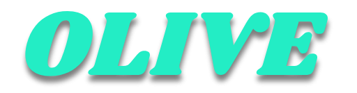 Shop Animali Domestici: Offerte su Cibo, Giochi e Accessori